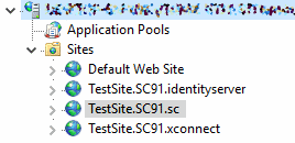 iis_sitename-1.png