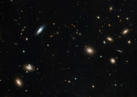 Scientific summer reflections