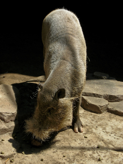 Photo 39