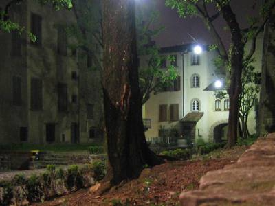 Photo 33