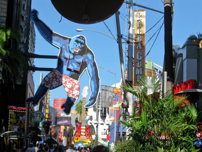 Photo 41