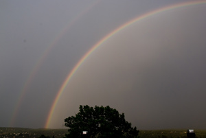 Rainbow Thumbnail