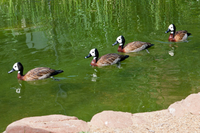 Photo 37