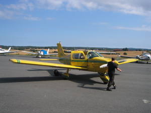 Summer Flight Thumbnail