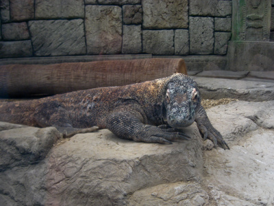 Photo 45