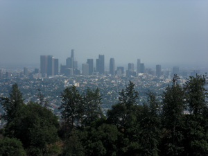 Los Angeles Thumbnail