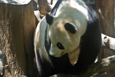 Photo 49