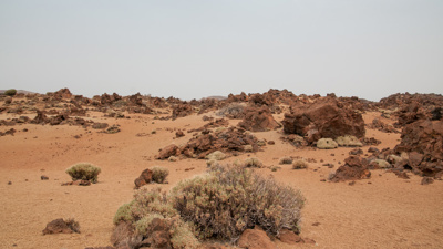 Photo 33