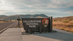 Yellowstone Thumbnail