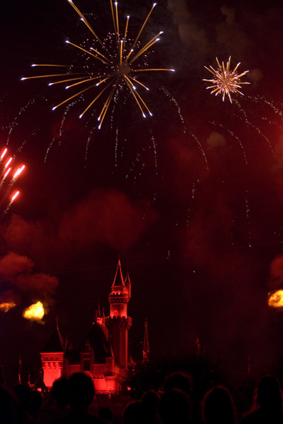 Photo 29