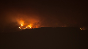 Tenerife Forest Fires Thumbnail