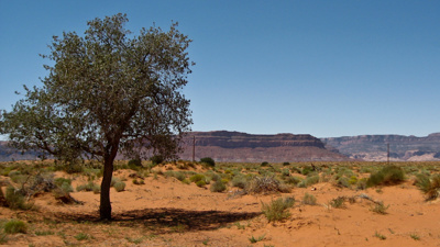 Photo 24