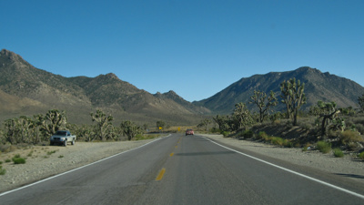 Photo 37