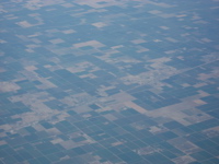 california-dreamin-2.jpg